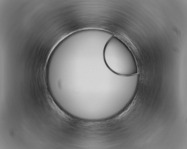 X0000113030892200908271052