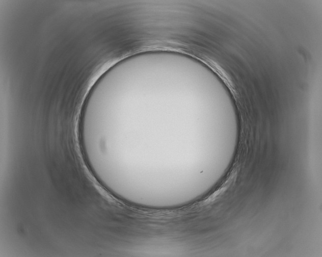 X0000113030893200908271052