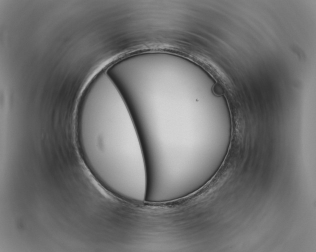 X0000113030894200908271052