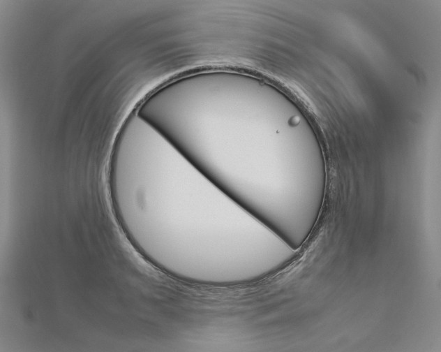 X0000113030895200908271052
