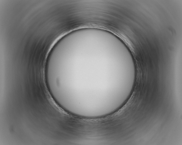 X0000113030896200908271052