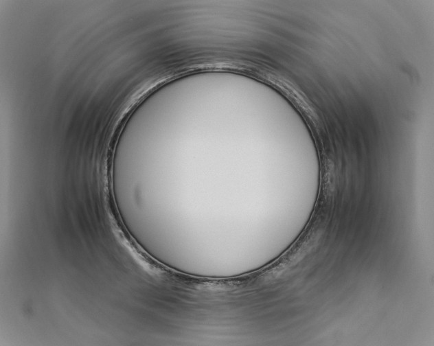 X0000113030898200908271052