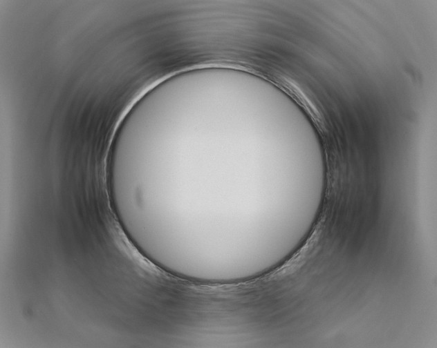 X0000113030900200908271052