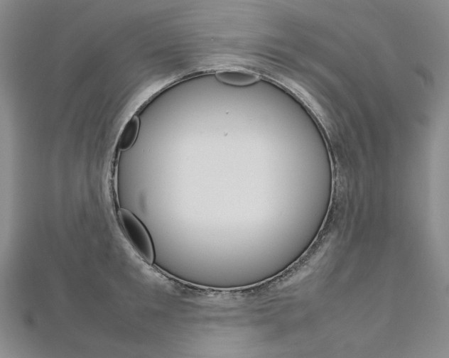 X0000113030901200908271052