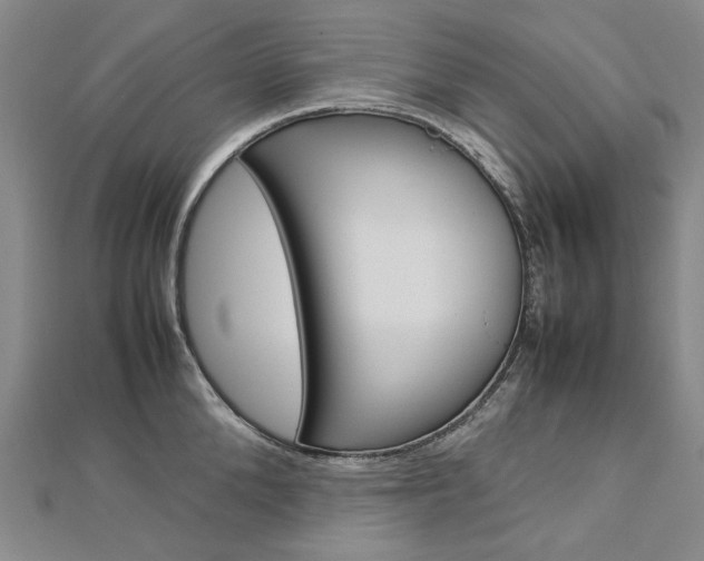 X0000113030904200908271052