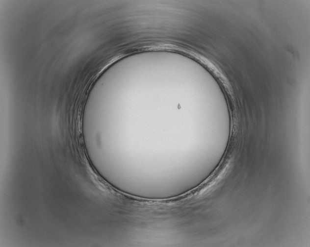 X0000113030905200908271052