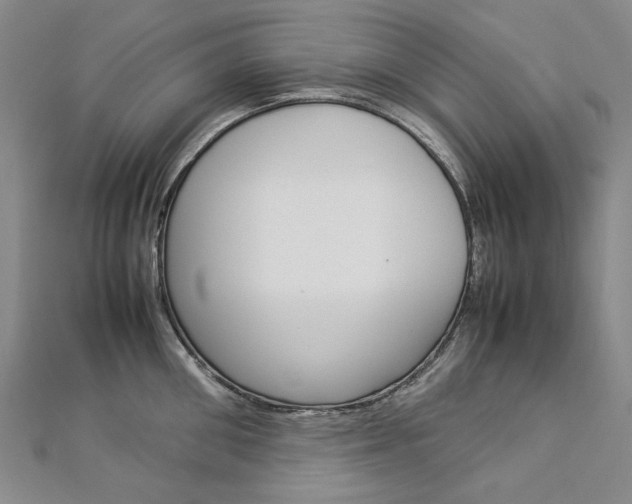 X0000113030906200908271052