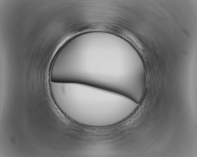 X0000113030907200908271052