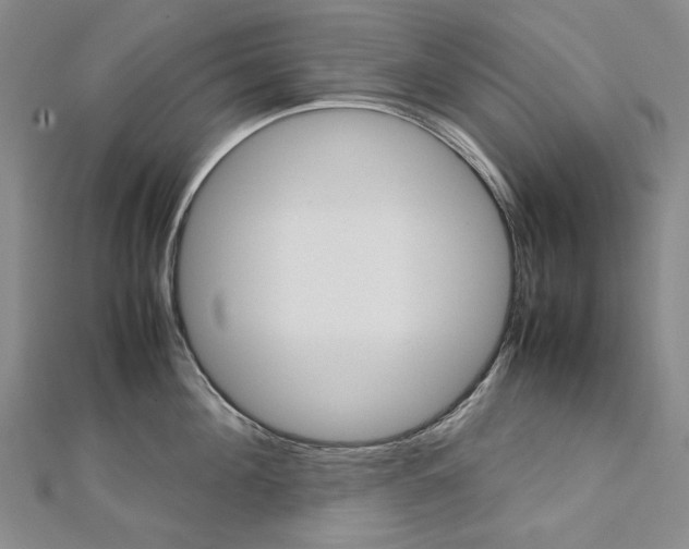 X0000113030908200908271052