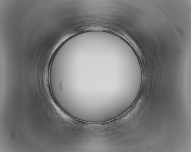 X0000113030909200908271052