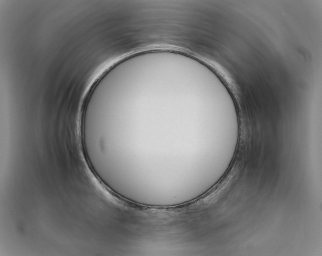 X0000113030910200908271052