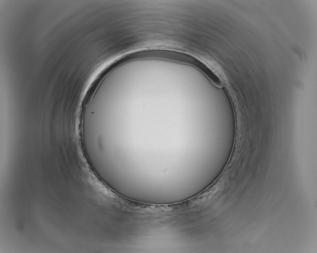 X0000113030912200908271052
