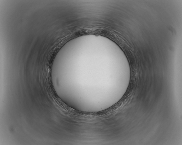 X0000113030914200908271051
