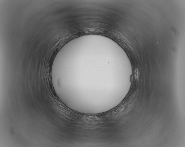 X0000113030915200908271051