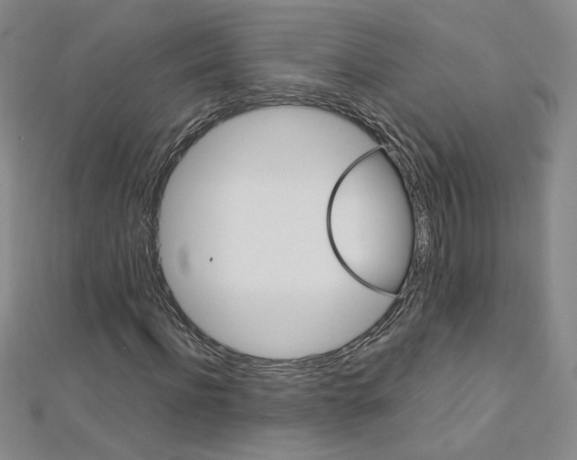 X0000113030916200908271051