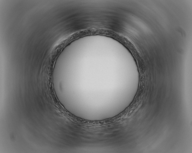 X0000113030919200908271052
