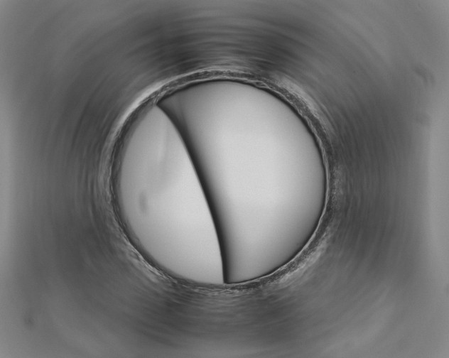 X0000113030923200908271052