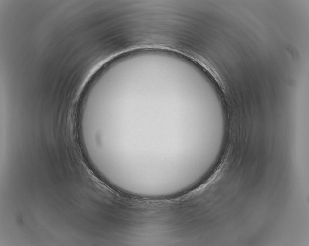 X0000113030926200908271052