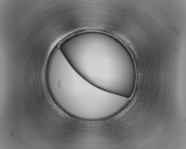 X0000113030928200908271052