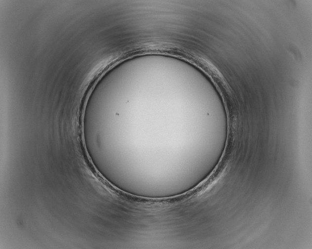 X0000113030930200908271052