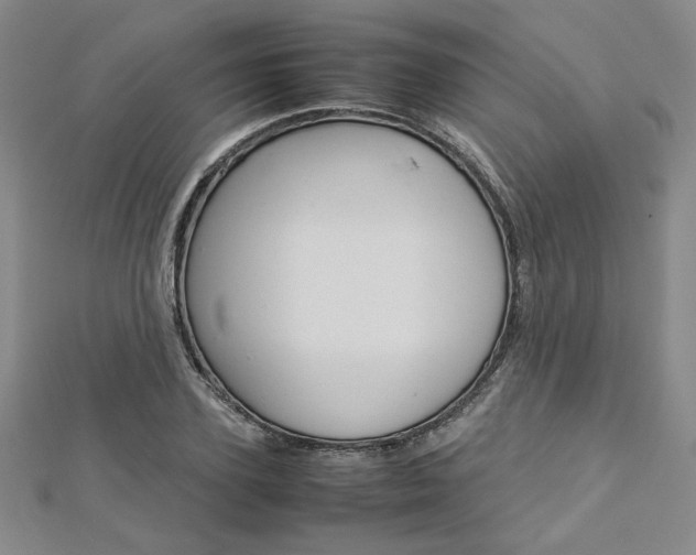 X0000113030931200908271052