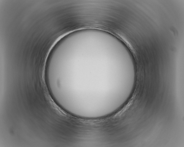 X0000113030932200908271052