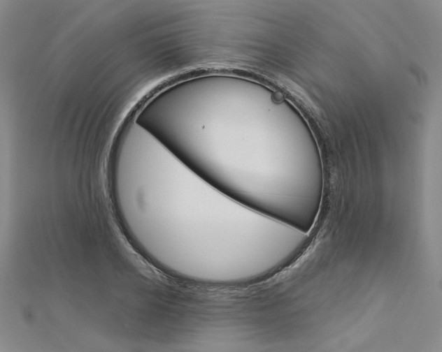 X0000113030934200908271052