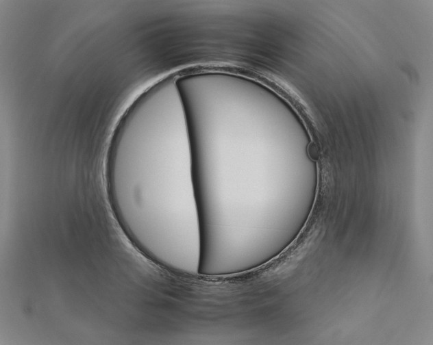 X0000113030935200908271052