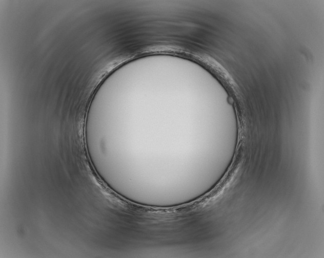 X0000113030937200908271052