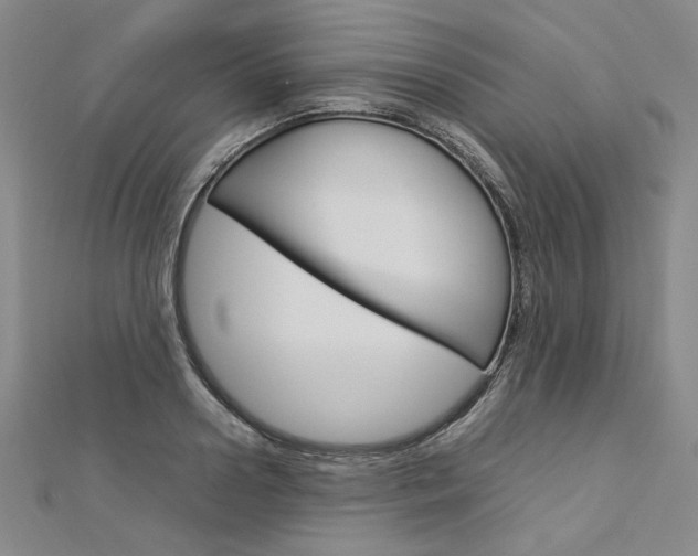 X0000113030938200908271052