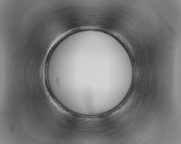 X0000113030941200908271052