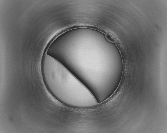 X0000113030942200908271052
