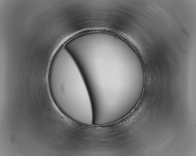X0000113030943200908271052