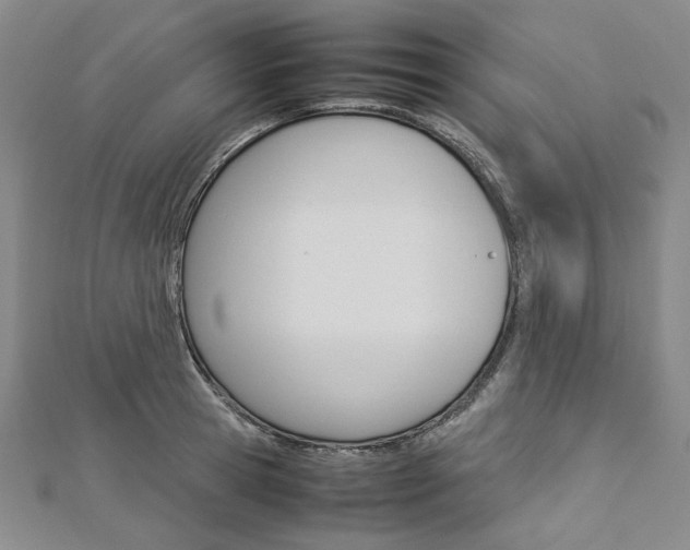 X0000113030945200908271052