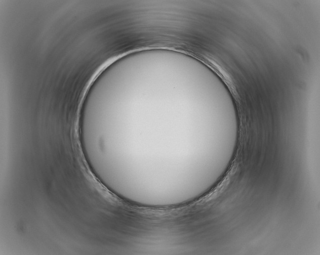 X0000113030948200908271052