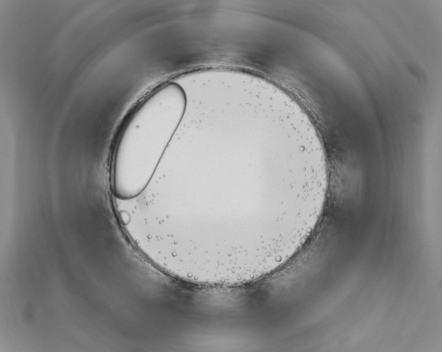 X0000113030950200908271052