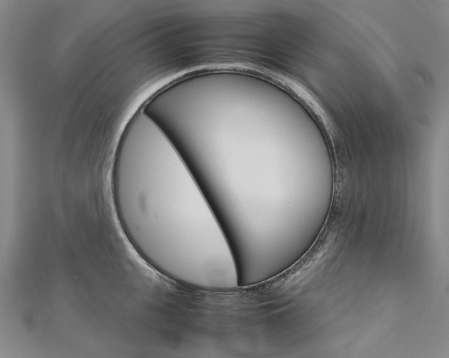 X0000113030951200908271052