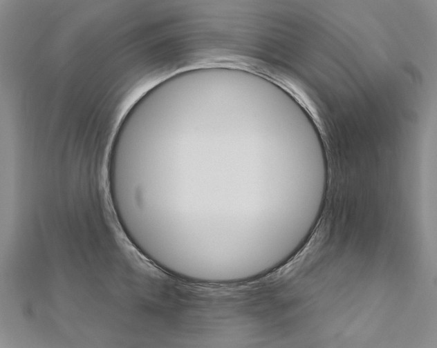 X0000113030952200908271052