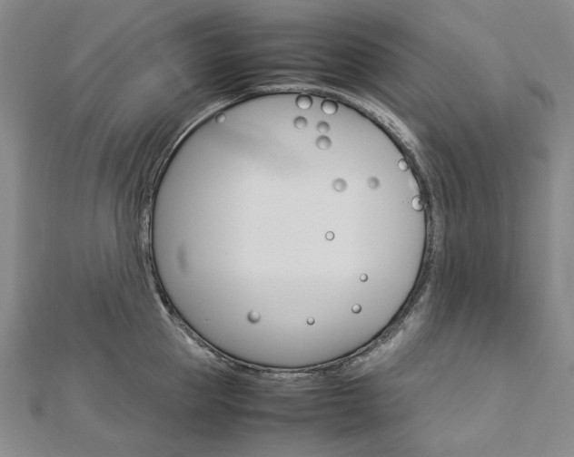 X0000113030953200908271052