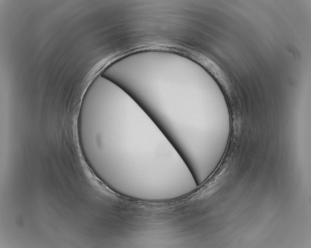 X0000113030954200908271052