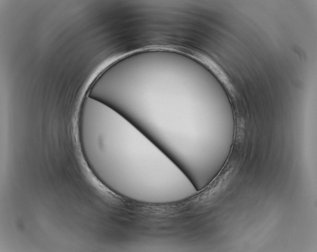 X0000113030955200908271052