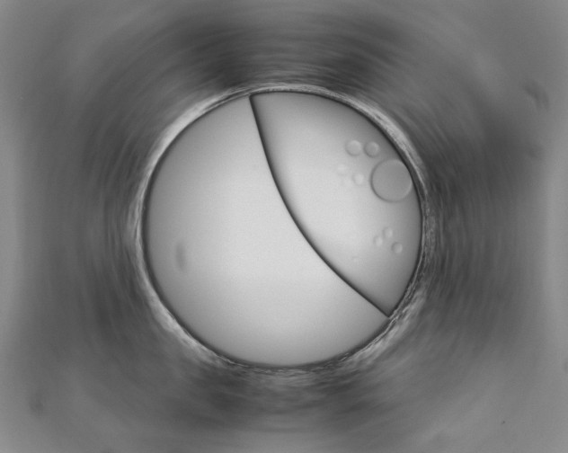 X0000113030957200908271052