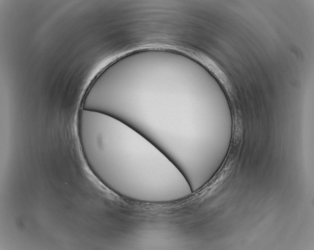 X0000113030958200908271052