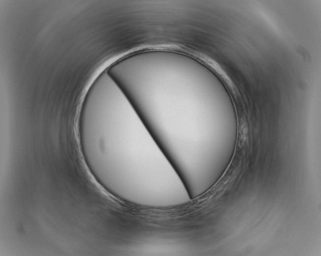 X0000113030959200908271052