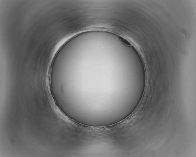 X0000113030960200908271052