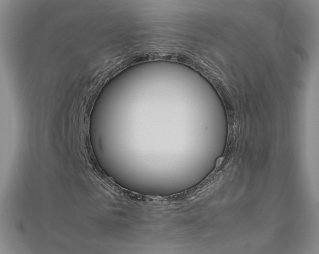X0000113030961200908271051