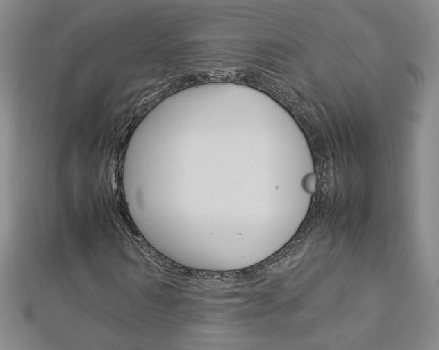 X0000113030962200908271051