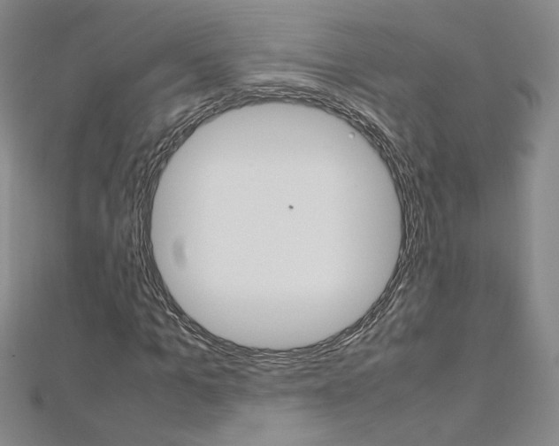 X0000113030965200908271051