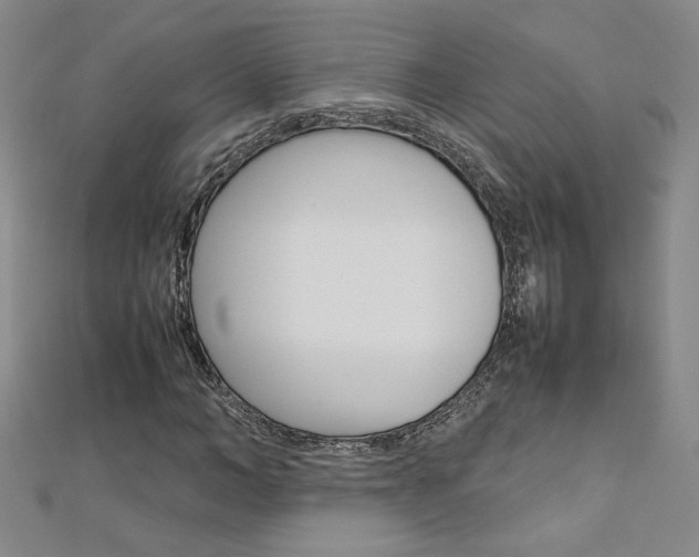X0000113030966200908271051