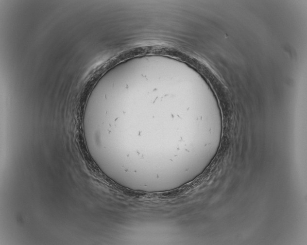 X0000113030967200908271051